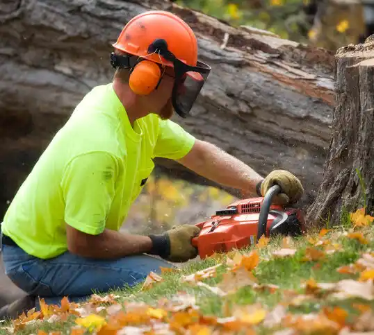 tree services Peppermill Village